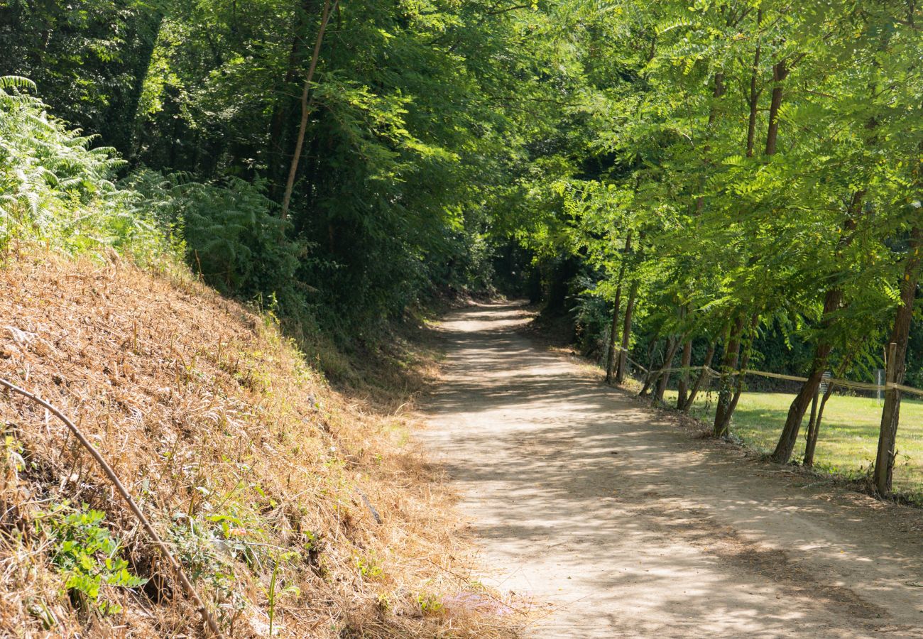 Landhaus in Santa Pau - Can Baseia