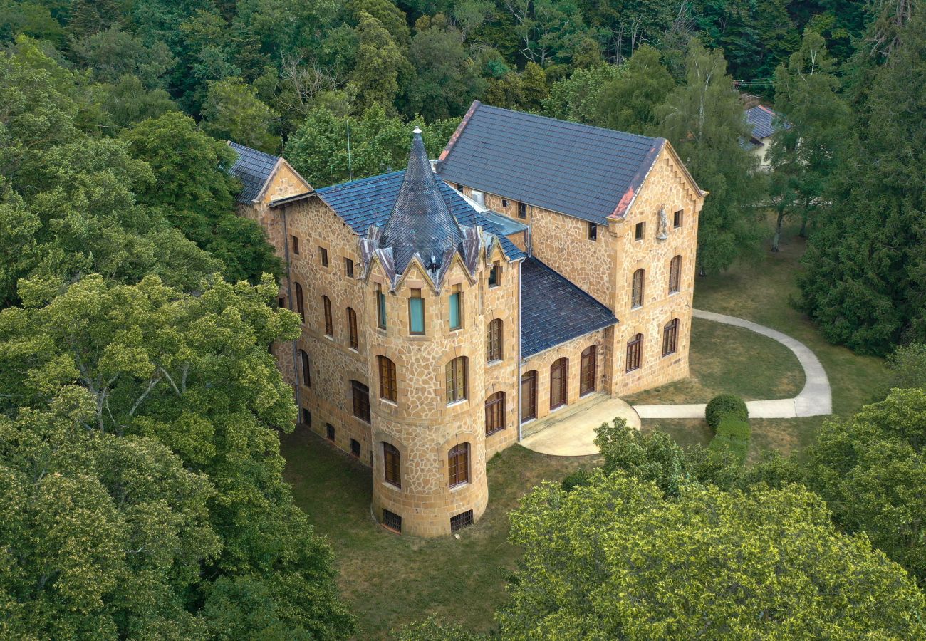 Villa in Sant Hilari Sacalm - Castell de Villavecchia - 20 pax