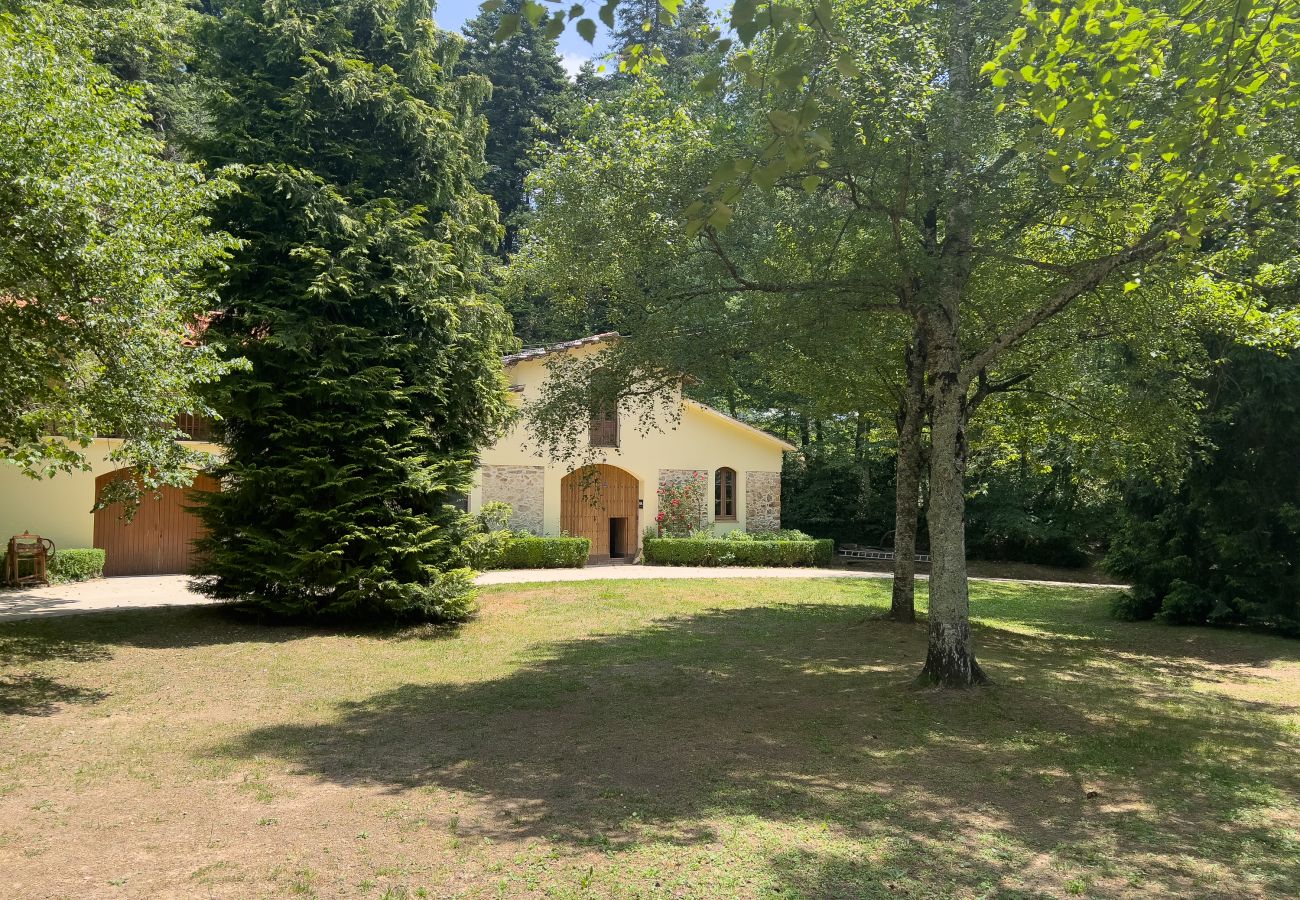 Landhaus in Sant Hilari Sacalm - Castell de Villavecchia - Masoveria