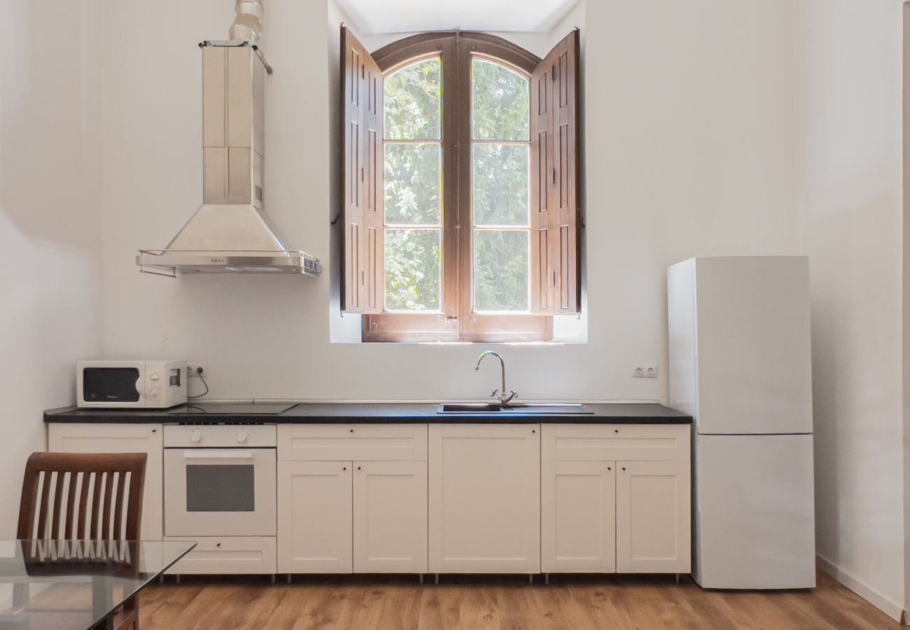 Landhaus in Sant Hilari Sacalm - Castell de Villavecchia - Masoveria