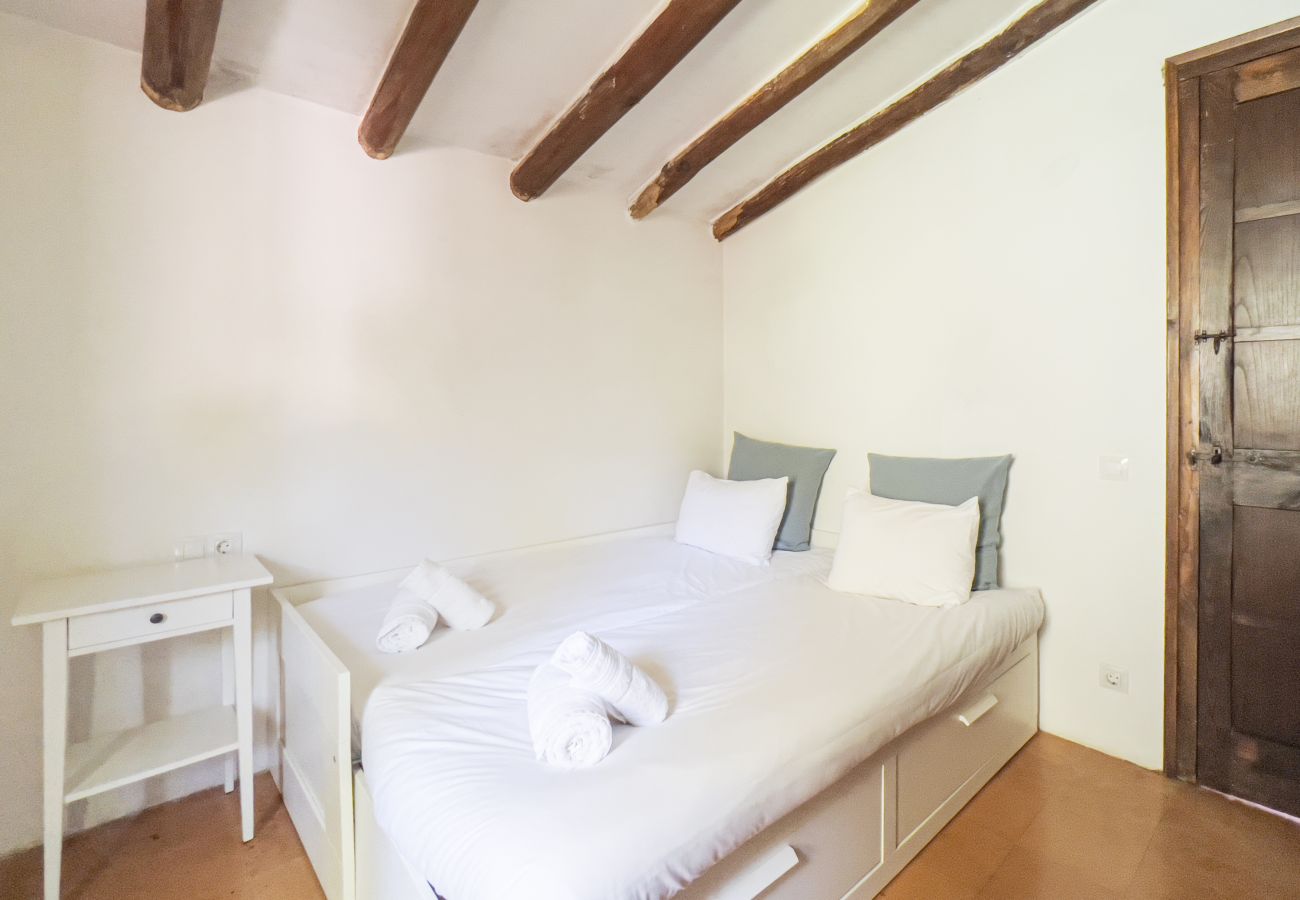 Landhaus in Sant Hilari Sacalm - Castell de Villavecchia - Masoveria