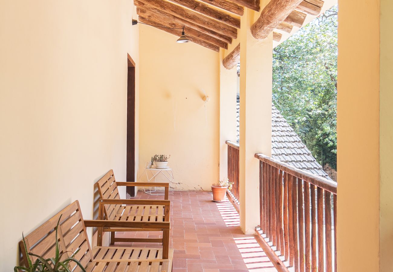 Landhaus in Sant Hilari Sacalm - Castell de Villavecchia - Masoveria