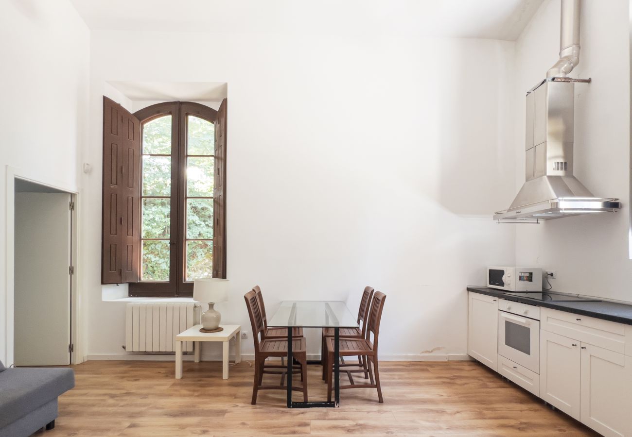 Landhaus in Sant Hilari Sacalm - Castell de Villavecchia - Masoveria