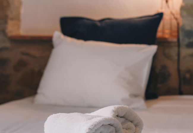 Apartment in Montagut i Oix - Can Blanc de Montagut, Baix Apartment in Montagut i Oix - Can Blanc de Montagut, Baix