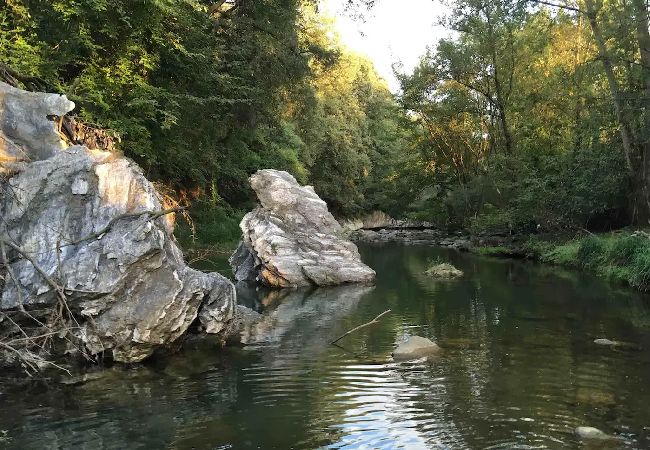 Apartment in Montagut i Oix - Can Blanc de Montagut, Dalt Apartment in Montagut i Oix - Can Blanc de Montagut, Dalt