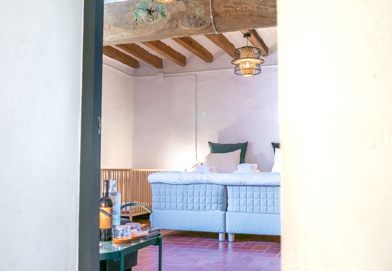 Cottage in Montagut i Oix - Can Riera de Montagut (7 rooms)