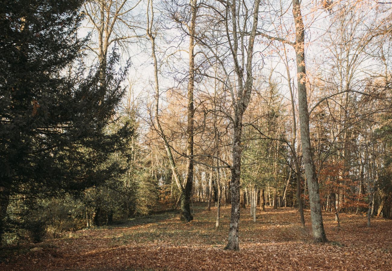 Villa in Sant Hilari Sacalm - Castell de Villavecchia - 20 pax