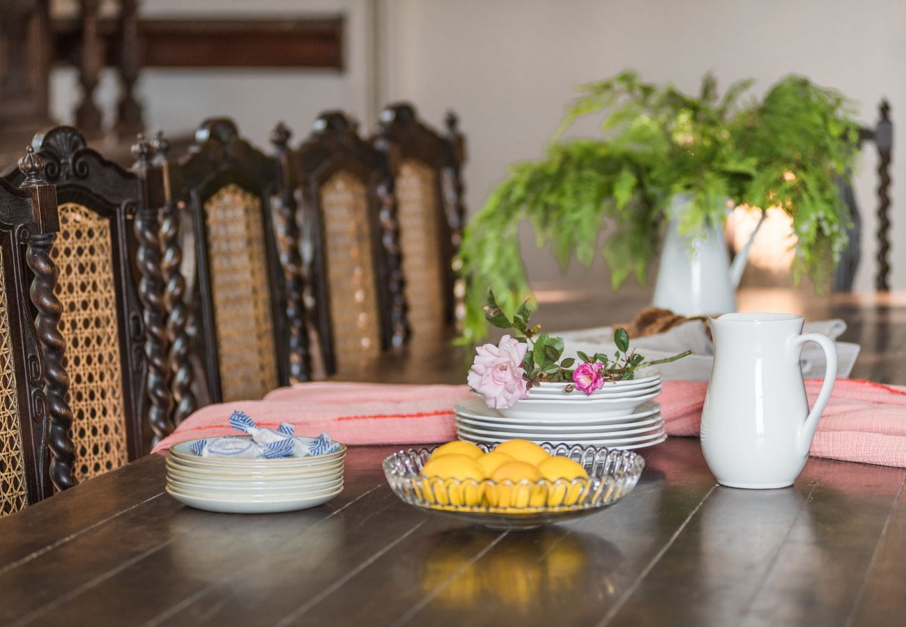 Country house in Sant Hilari Sacalm - Domini de Villavecchia