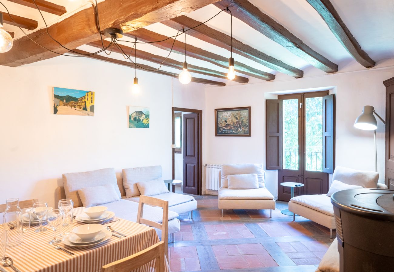 Country house in Sant Esteve d'en Bas - Majordoms Famada