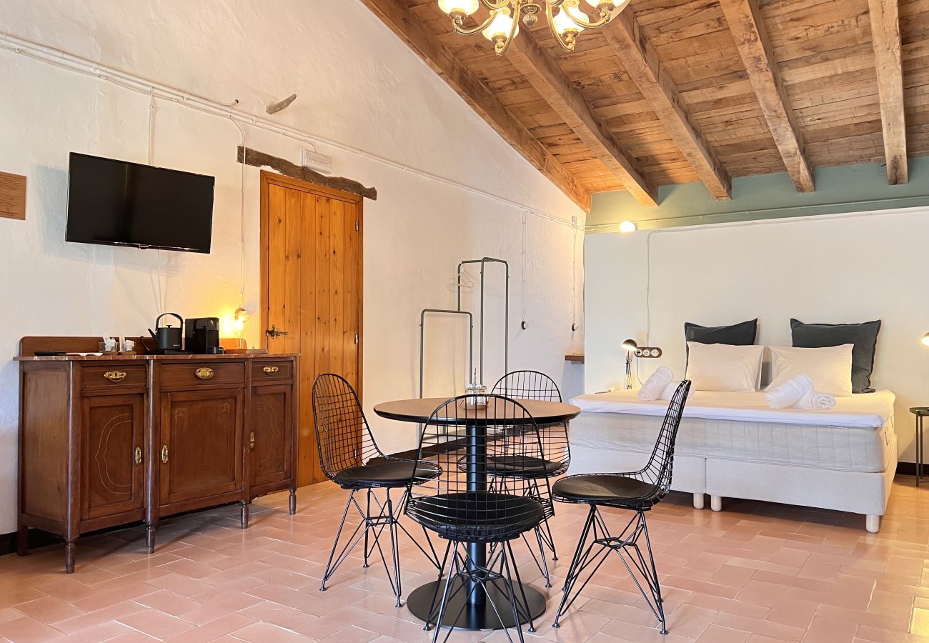 Casa rural en Montagut i Oix - Can Riera de Montagut (7 rooms)