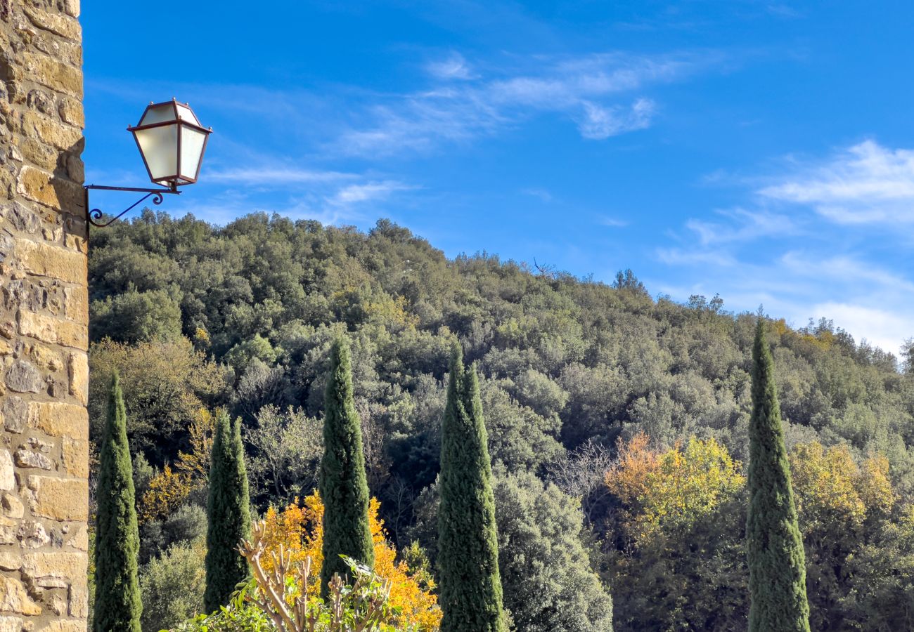 Casa rural en Sant Feliu de Pallerols - Aiguabella Turisme Rural 35p.