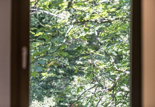 Villa en Sant Hilari Sacalm - Castell de Villavecchia - 20 pax Villa en Sant Hilari Sacalm - Castell de Villavecchia - 20 pax