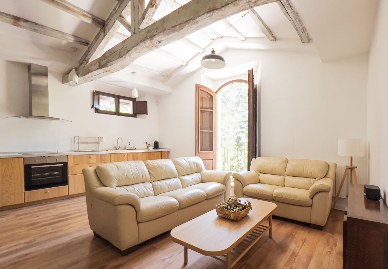 Casa rural en Sant Hilari Sacalm - Masoveria de Villavecchia