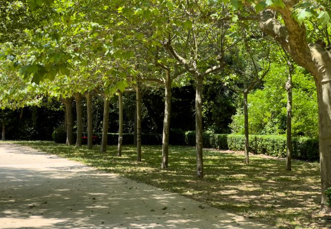 Finca en Sant Hilari Sacalm - Castell de Villavecchia - 33 pax Finca en Sant Hilari Sacalm - Castell de Villavecchia - 33 pax