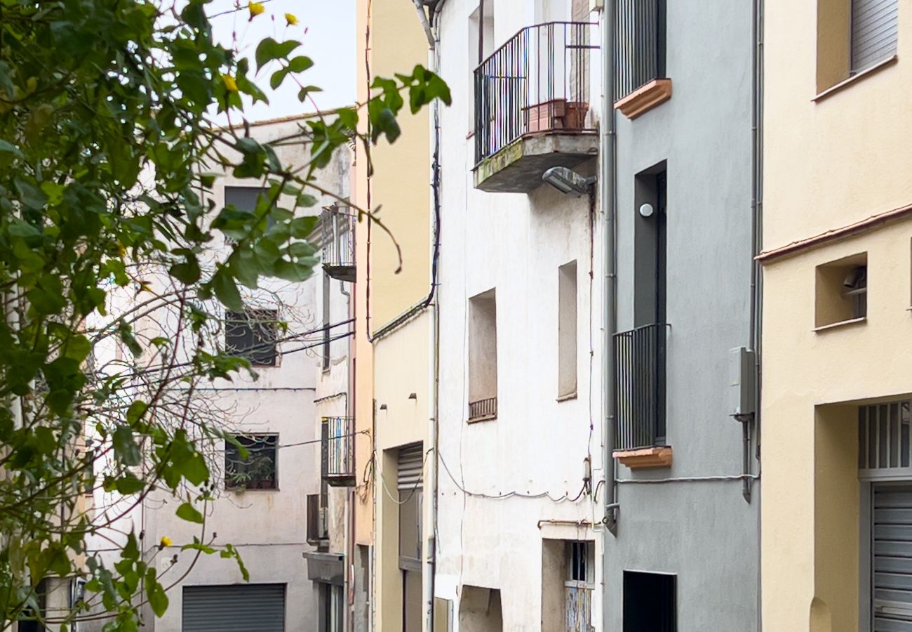 Apartamento en Banyoles - Majordoms Retrocèntric 1