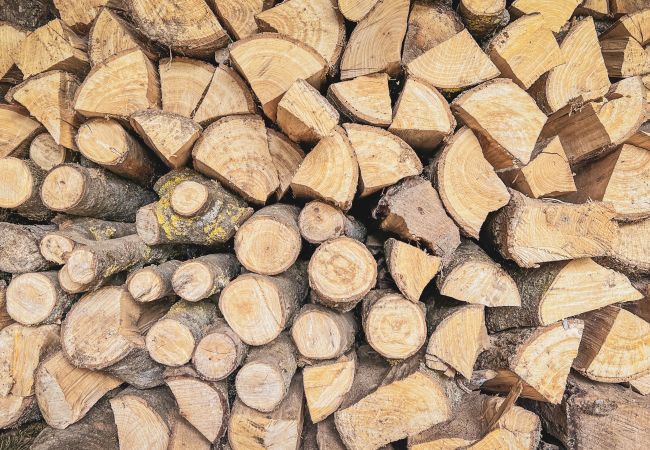 Appartement à Montagut i Oix - Can Blanc de Montagut, Baix Appartement à Montagut i Oix - Can Blanc de Montagut, Baix