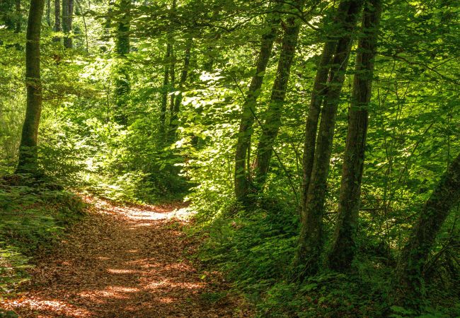 Gîte Rural à Santa Pau - Can Baseia Gîte Rural à Santa Pau - Can Baseia