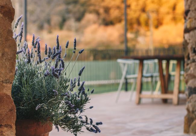 Cottage in Montagut i Oix - Majordoms Riera 5 Cottage in Montagut i Oix - Majordoms Riera 5