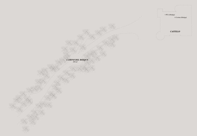 Villa in Sant Hilari Sacalm - Castell de Villavecchia - 20 pax Villa in Sant Hilari Sacalm - Castell de Villavecchia - 20 pax