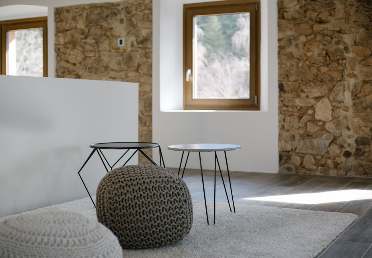 Finca in Arbúcies - Castell de Villavecchia