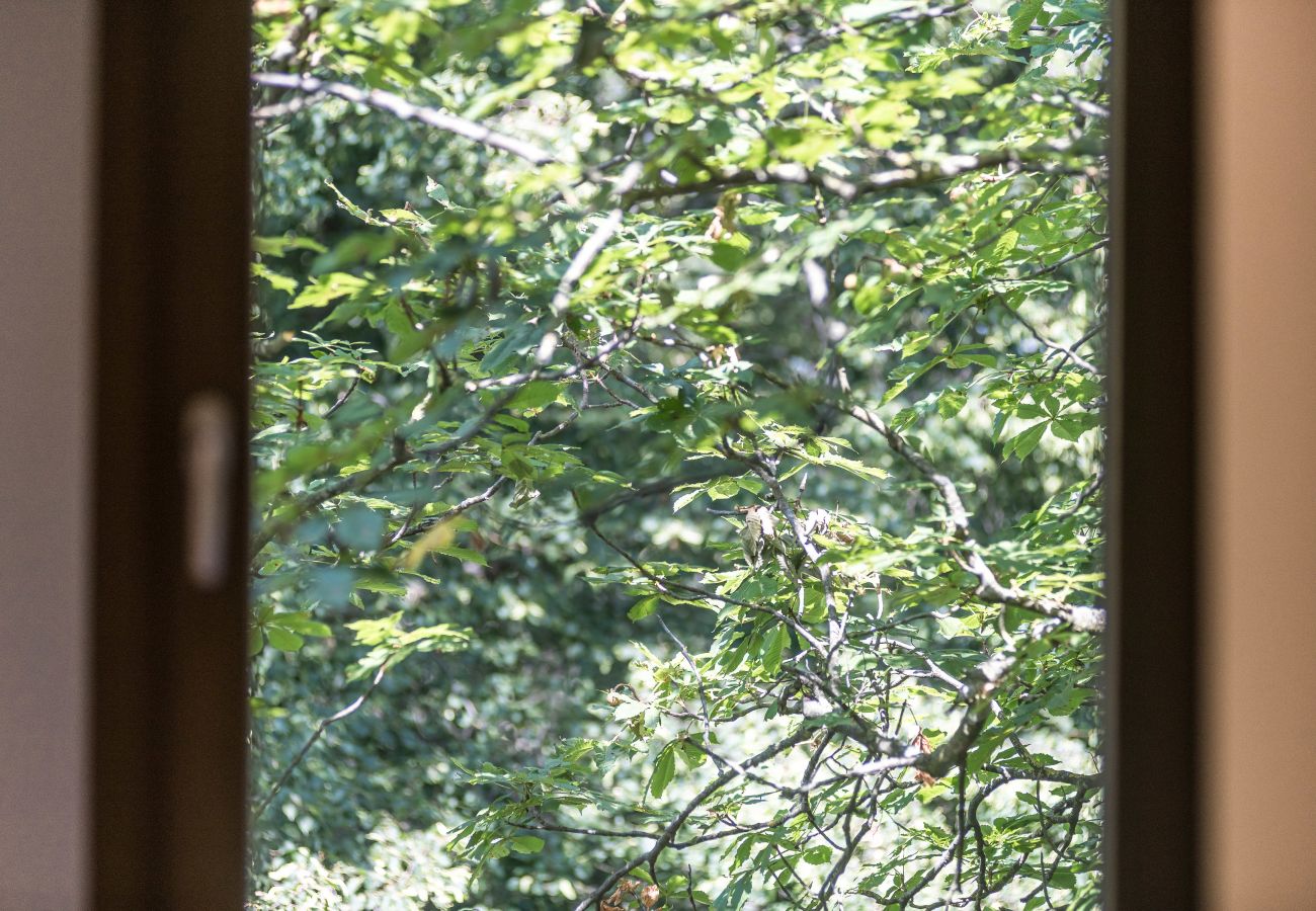 Finca in Arbúcies - Castell de Villavecchia