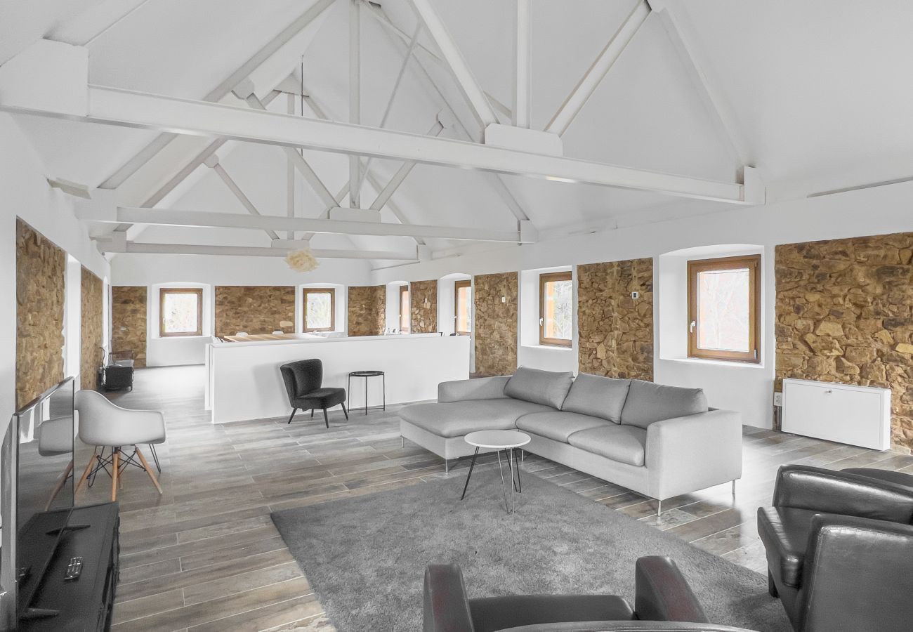 Villa in Sant Hilari Sacalm - Castell de Villavecchia - 20 pax