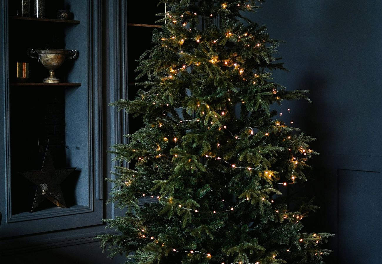 Finca in Sant Hilari Sacalm - Castell de Villavecchia - 33 pax